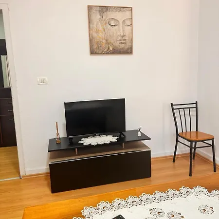 Hana's Perballe Drejtorise Se Policise Apartman *